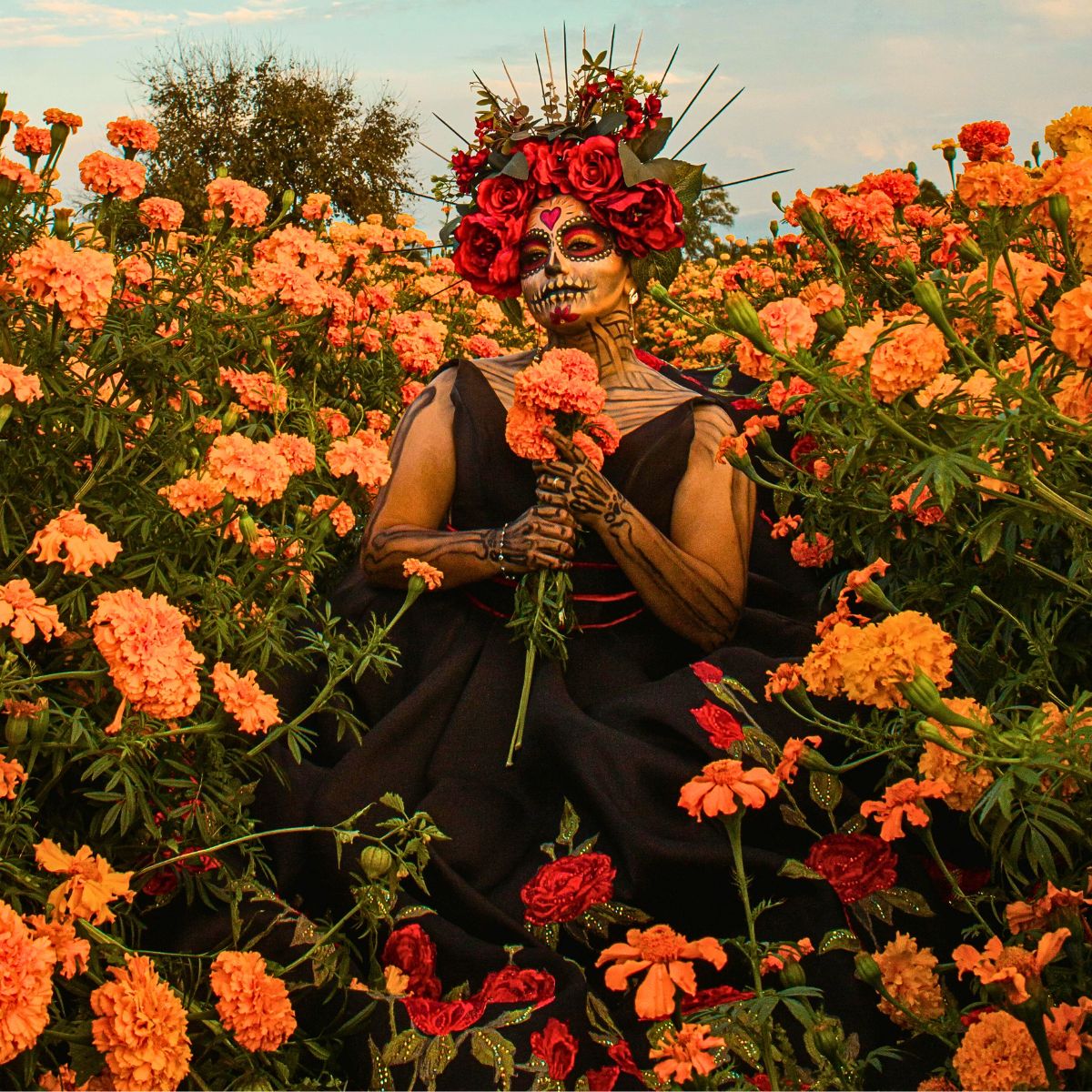 Day of the Dead Flowers of the Dead in Mexico's Marigold Fields of Puebla Celebrate the Day of the Dead