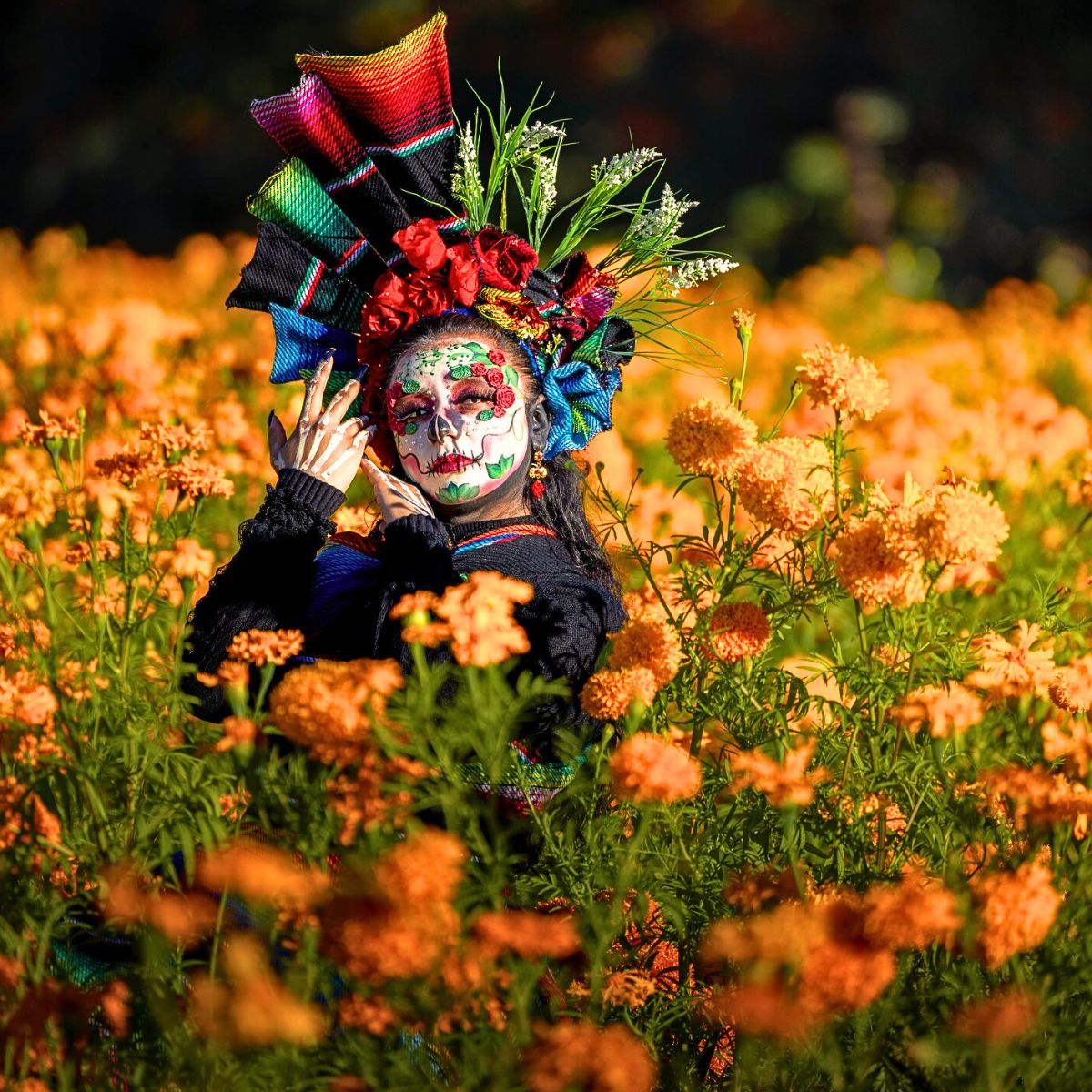 Día de los Muertos Flowers of the Dead in Mexico's Marigold Fields of Puebla Celebrate the Day of the Dead