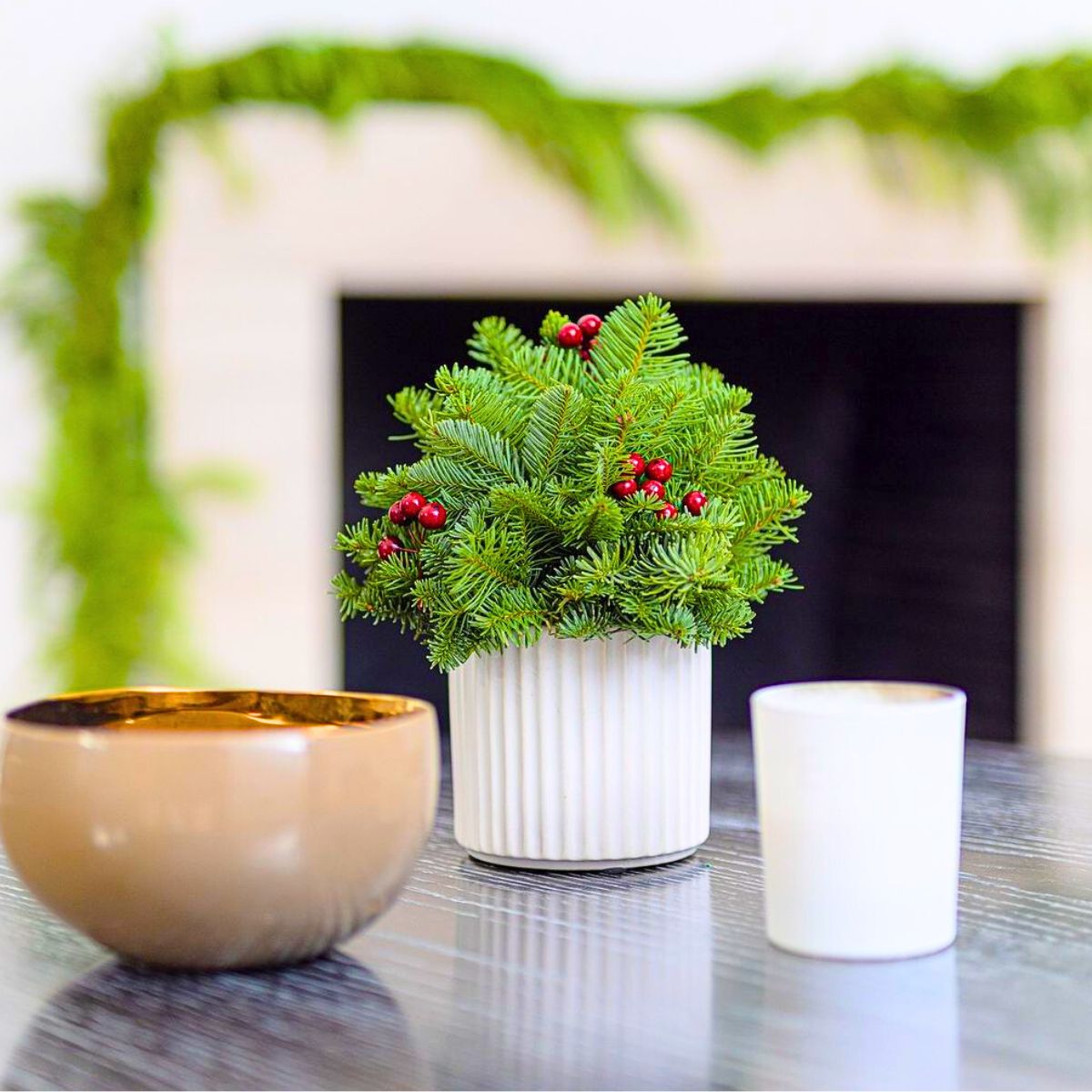 Noble Fir small Xmas decor for interiors Noble Fir small Xmas decor for interiors