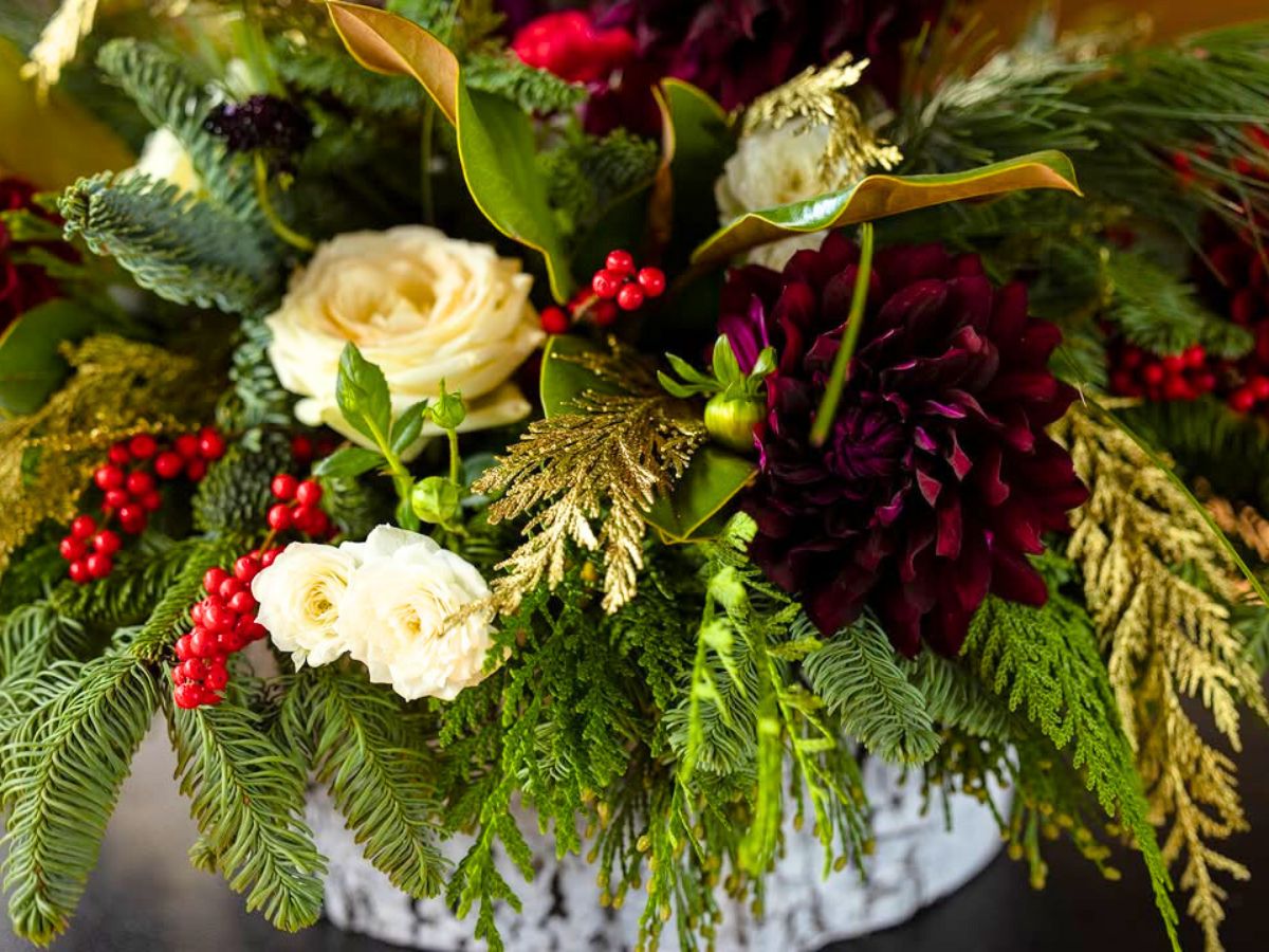 Xmas arrangement using Painted Gold Cedar Noble Fir and White Pine Xmas arrangement using Painted Gold Cedar Noble Fir and White Pine