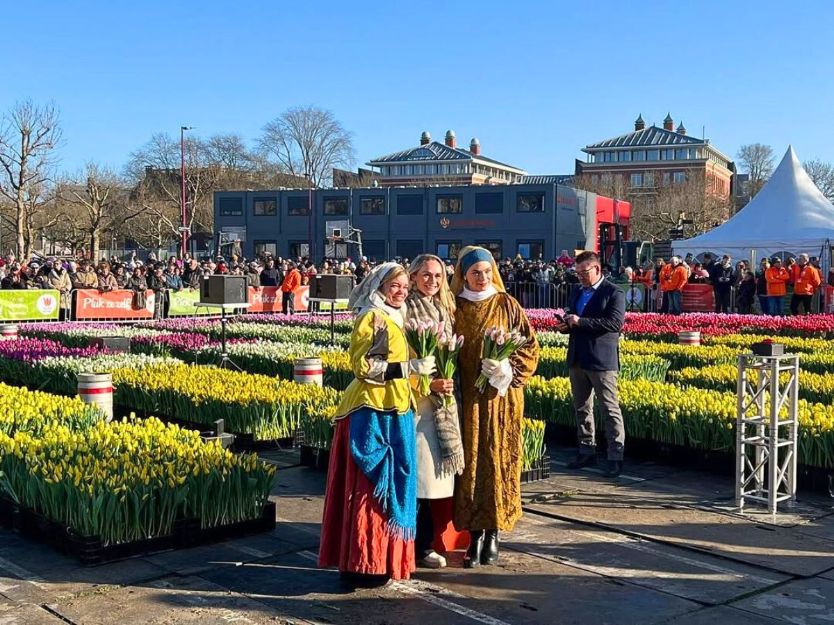 Dutch tradition National Tulip Day Dutch tradition National Tulip Day
