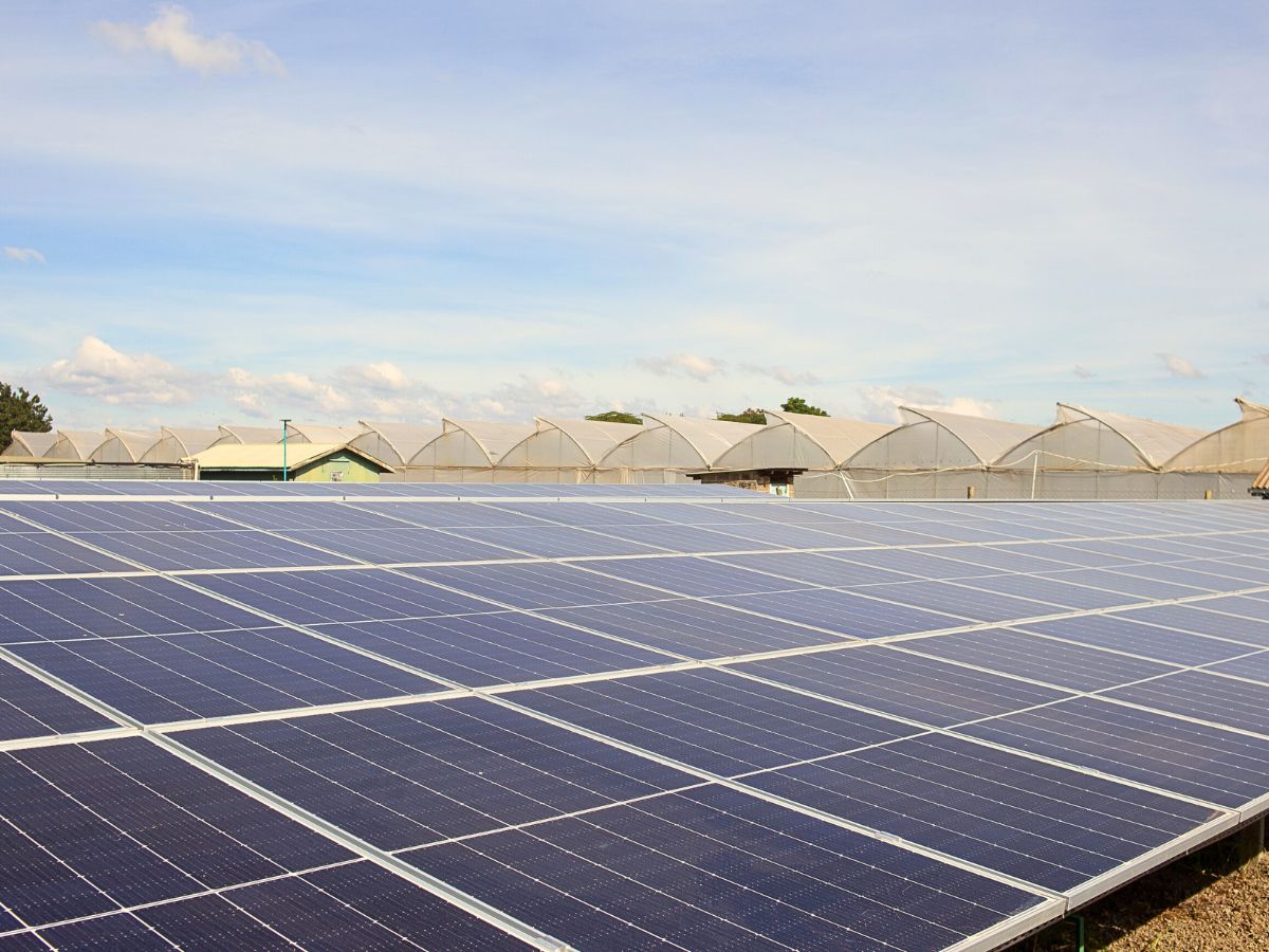 Solar panels Concept of Sustainability in Floriculture