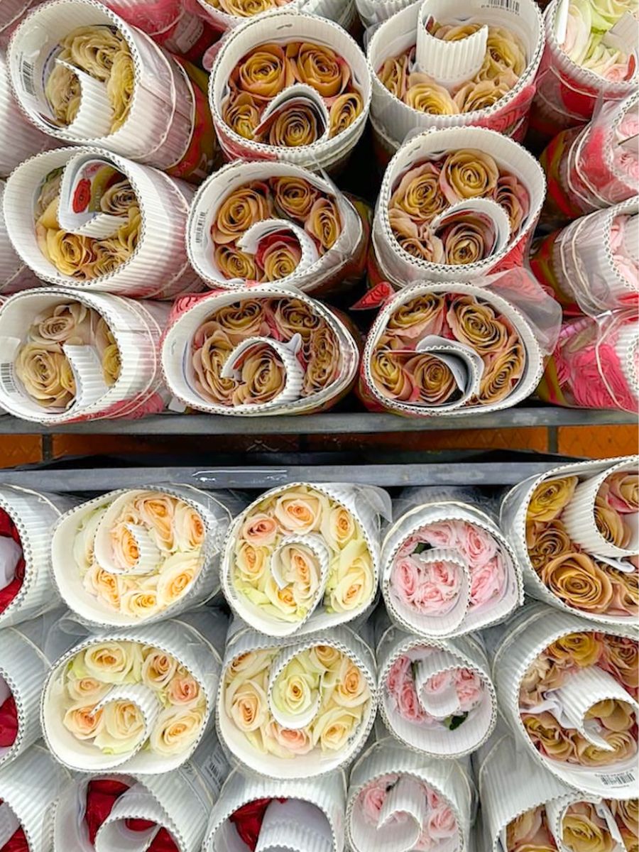 Packaged roses at Alexandra Farms Packaged roses at Alexandra Farms