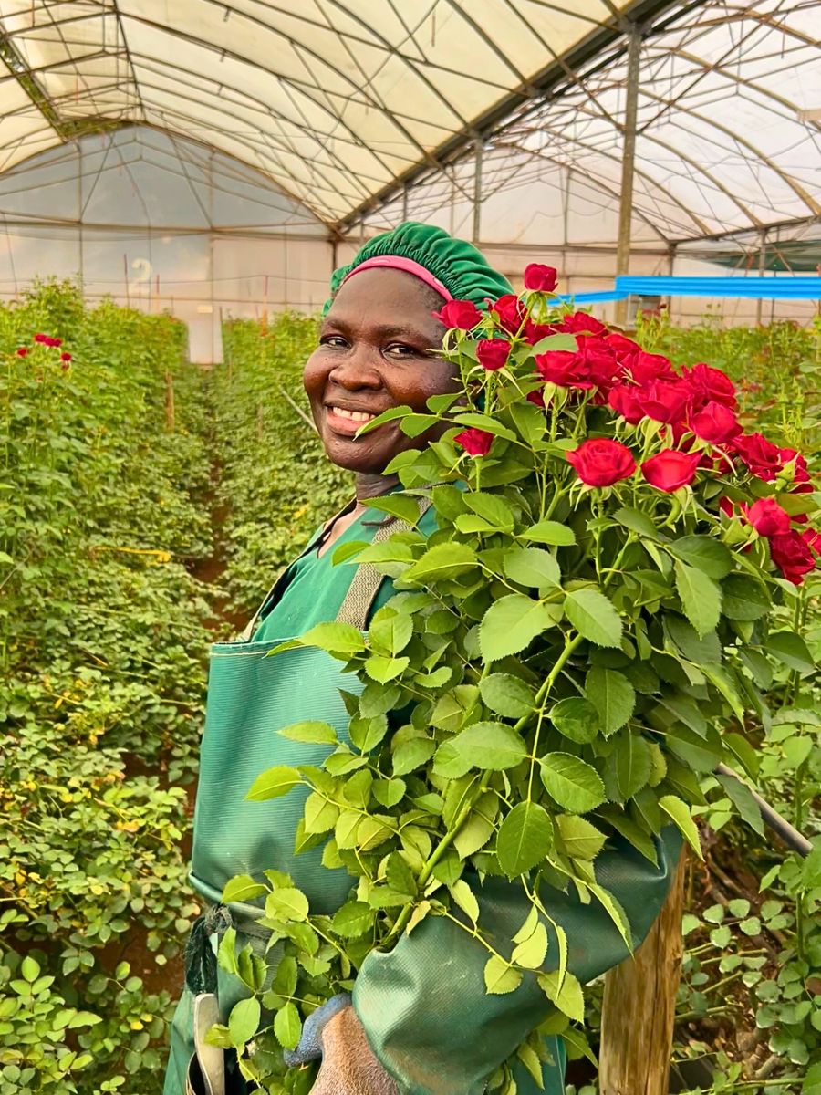 Red roses Sustainability Defined - Understanding the Meaning of This Concept in Floriculture