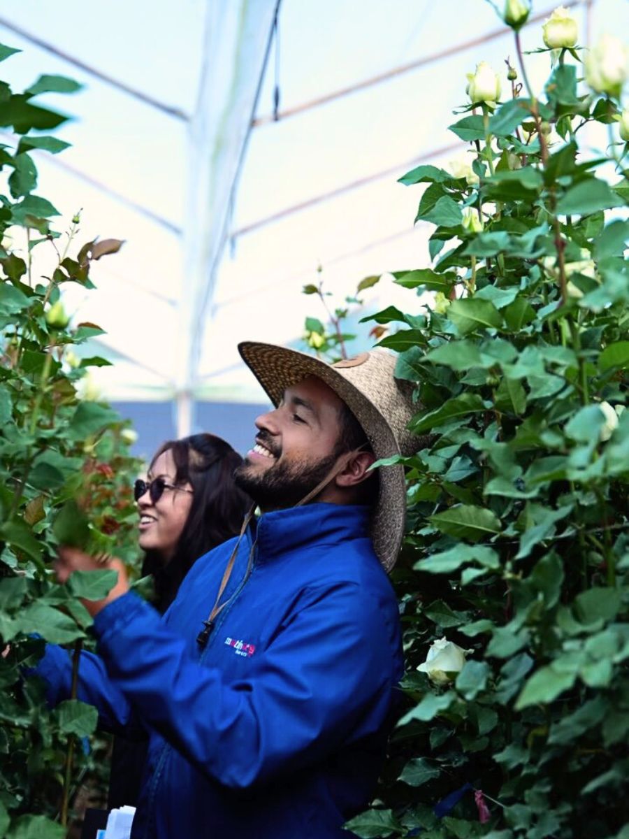 Rose cultivation Sustainability Defined - Understanding the Meaning of This Concept in Floriculture