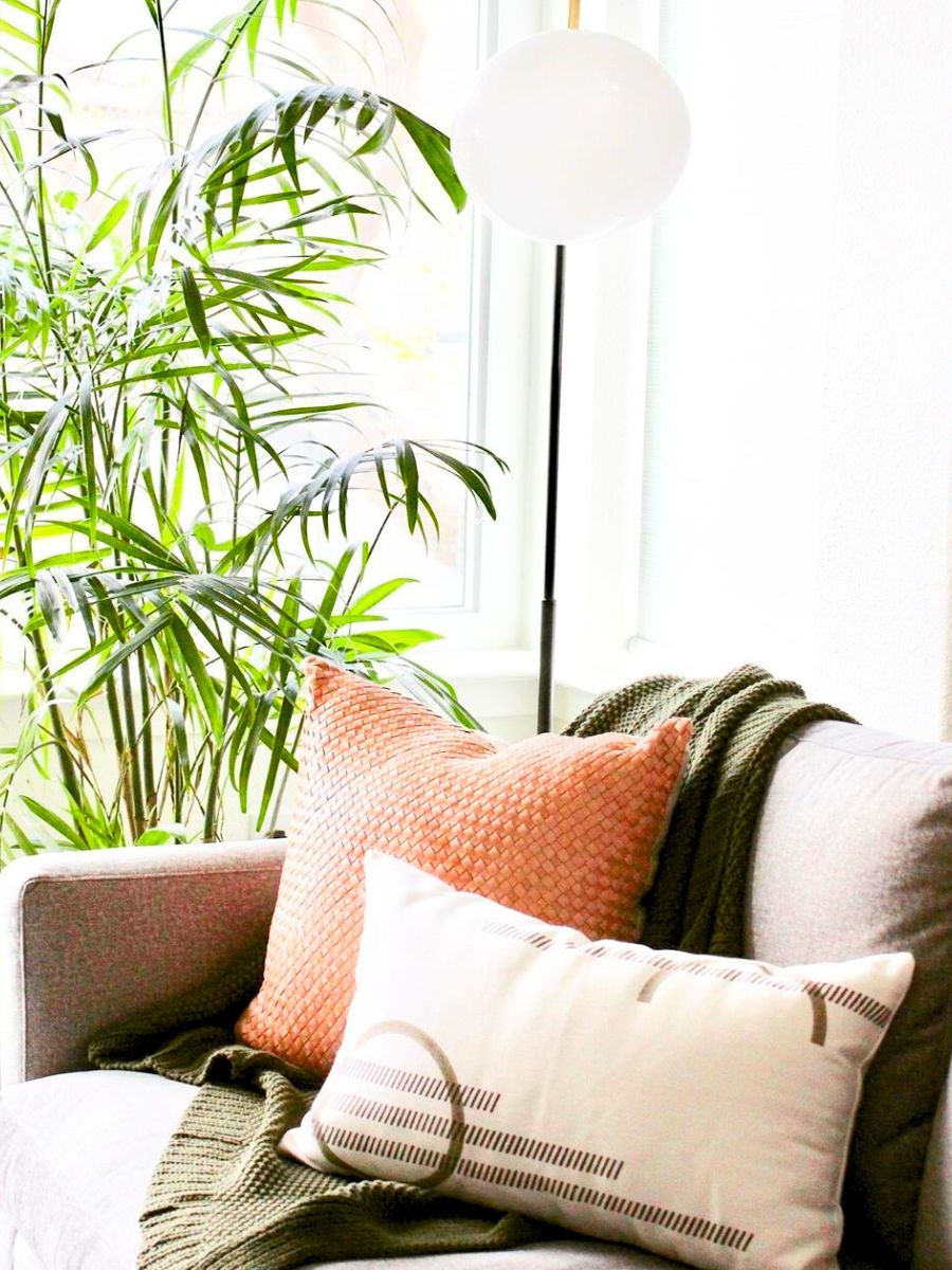 Parlor palm in a neutral living room Parlor palm in a neutral living room