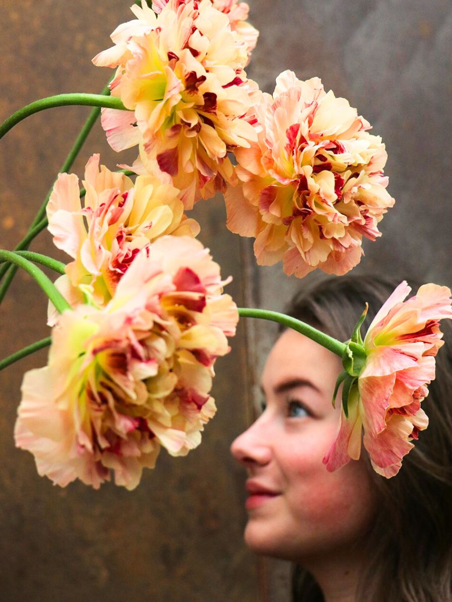 A girl posing with Charlotte ranunculus A girl posing with Charlotte ranunculus