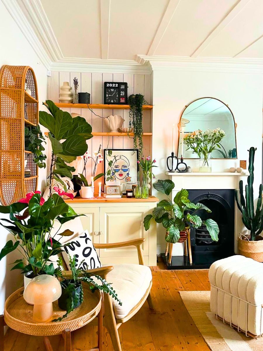 The placement of houseplants at home The placement of houseplants at home