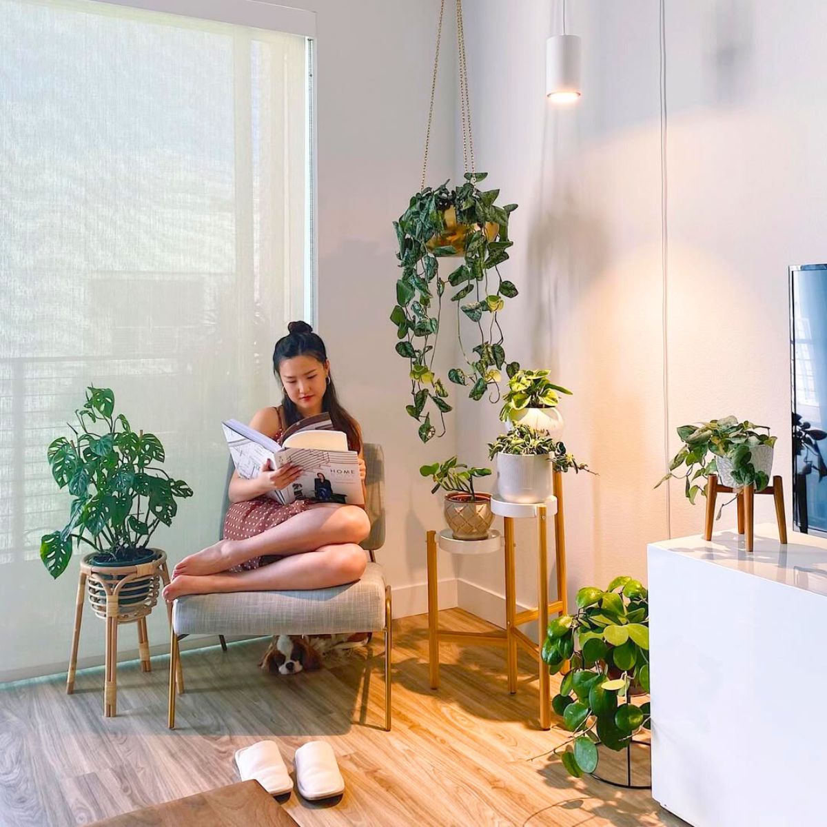 Girl in her living room with houseplants Girl in her living room with houseplants
