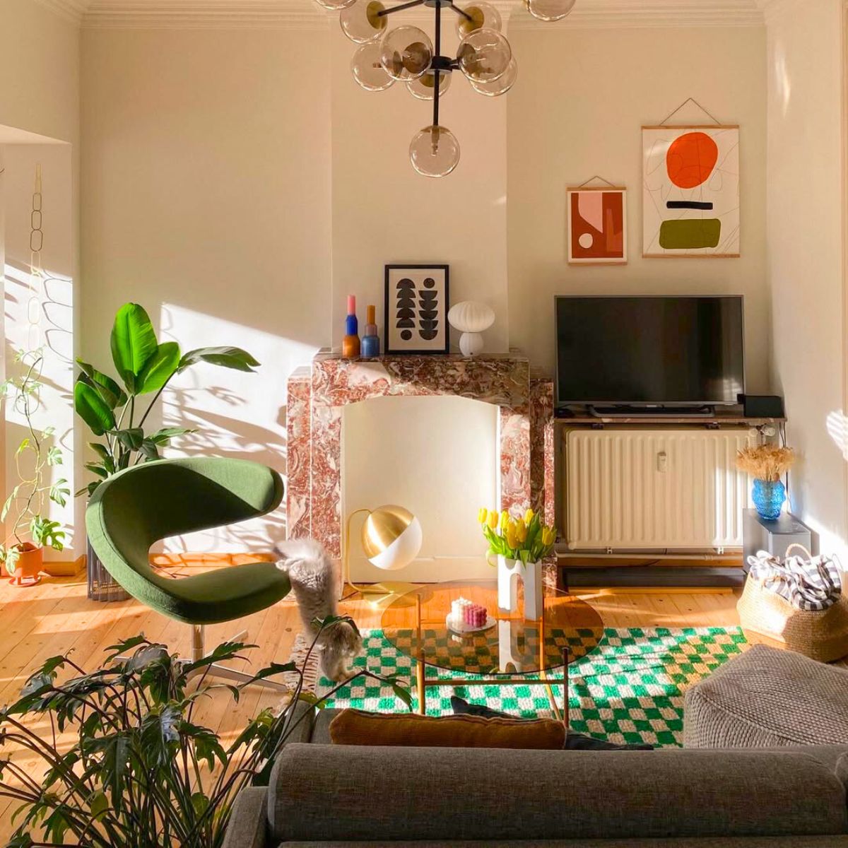 Plants receiving sun in a living room Plants receiving sun in a living room