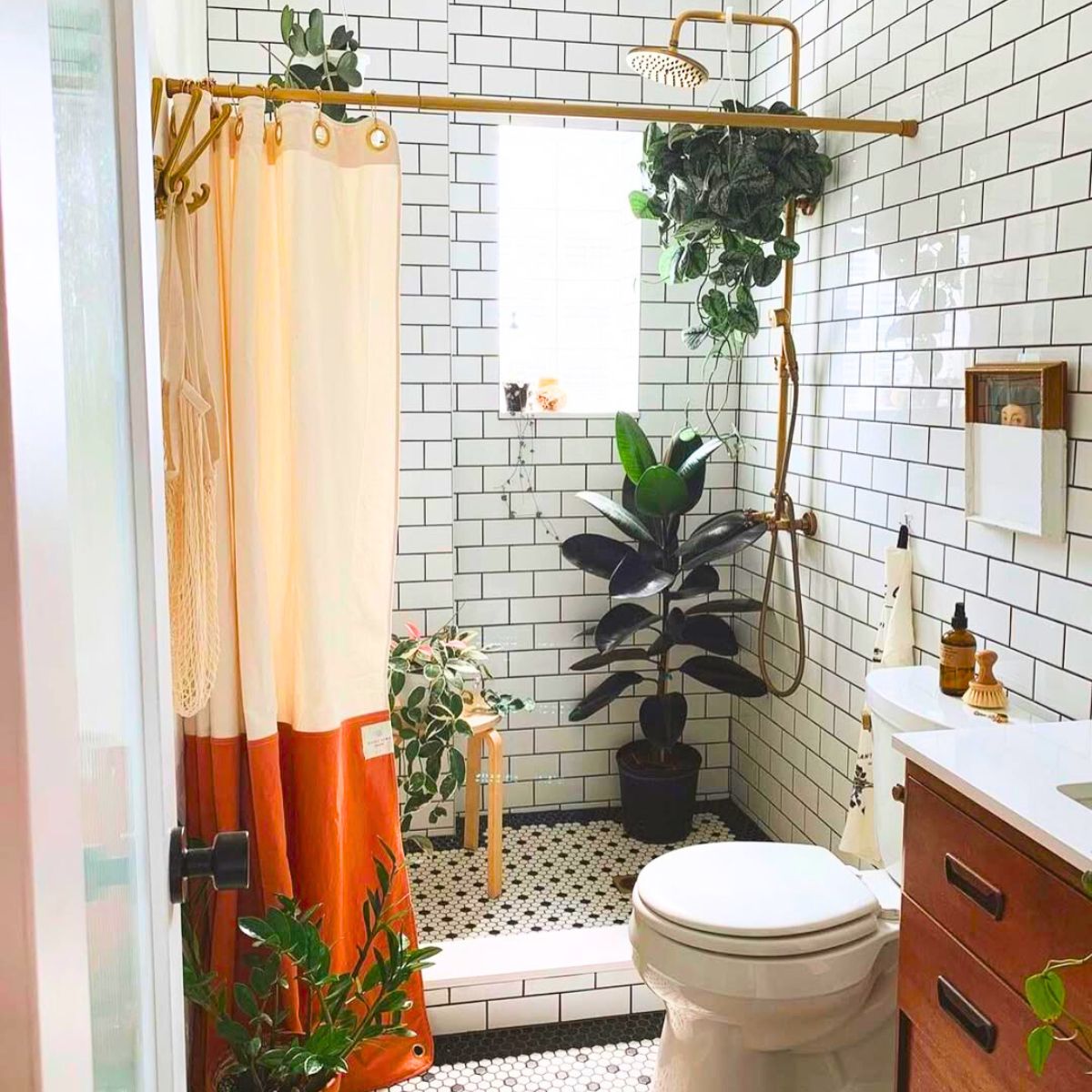 Feng shui plants in a bathroom Feng shui plants in a bathroom