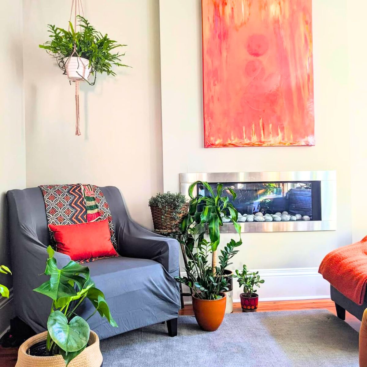 Plants that harmonize a living room Plants that harmonize a living room