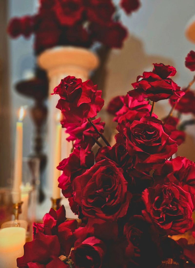 Born Free Roses Botanical floristry Born Free Roses Botanical floristry