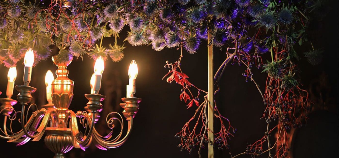 incorporating an old chandelier to go against the cold gloomy environment created with 150 stems of Eryngium Magnetar Questar from MarginPar - design by Alina Neacsa