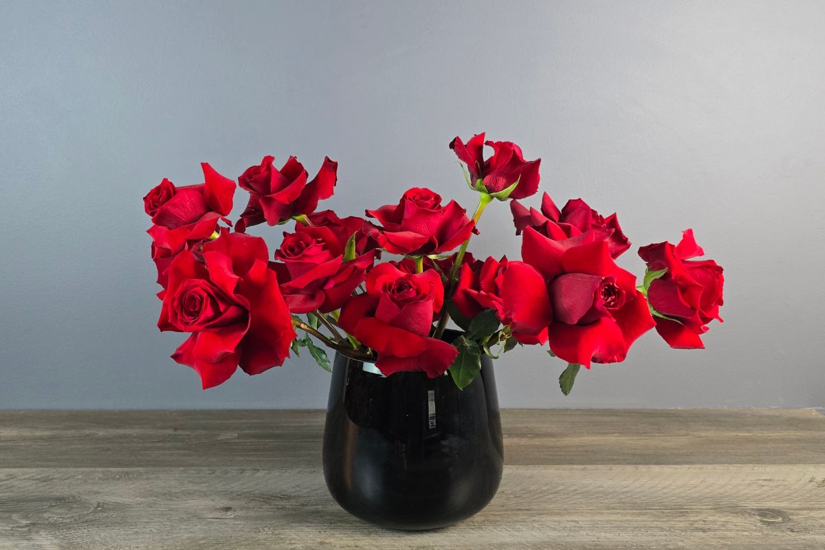 Rose Born Free by Nancy White Rose Born Free by Nancy White