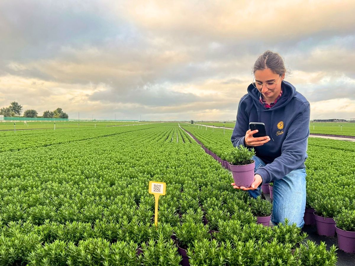 PlantScout PlantScout Is Revolutionizing Data Management in the Horticulture Industry