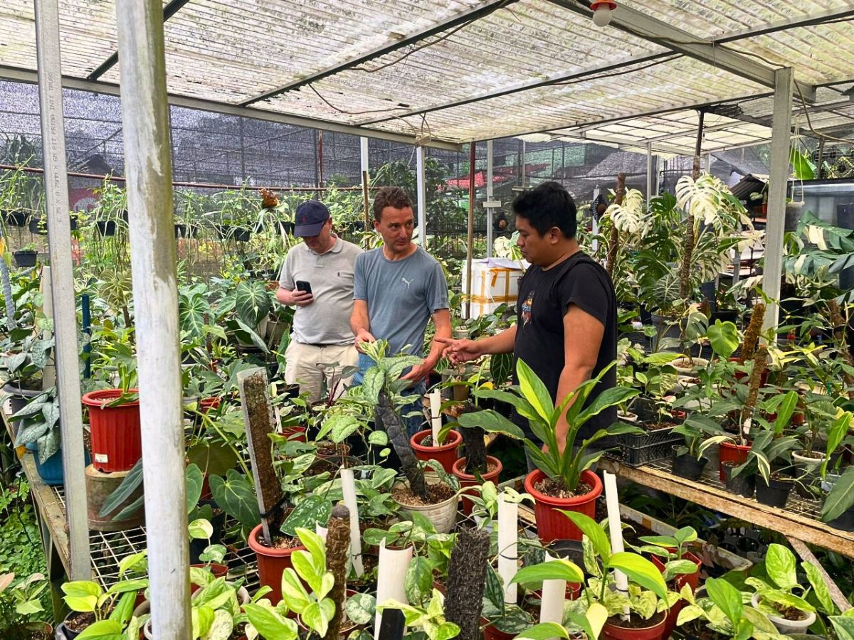 PlantScout PlantScout Is Revolutionizing Data Management in the Horticulture Industry