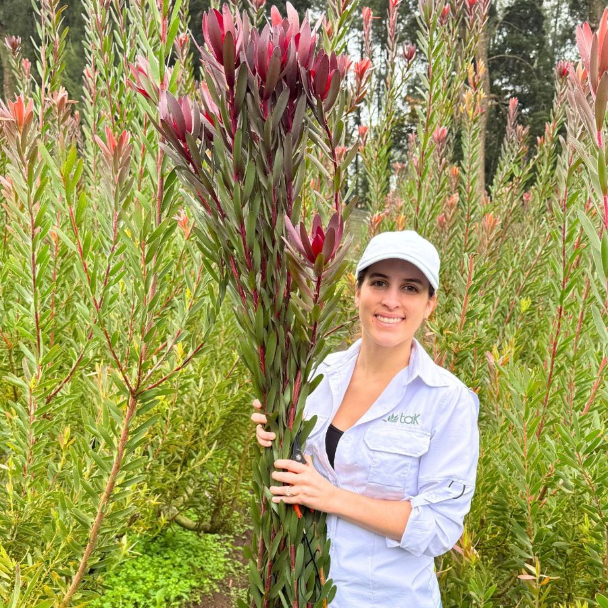 Mariela of TAK featured.jpg Mariela of TAK featured.jpg