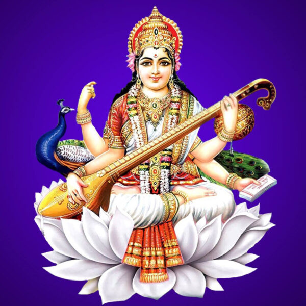 Symbolism of Indian Flowers - Goddess Saraswati sitting on a white lotus flower Symbolism of Indian Flowers - Goddess Saraswati sitting on a white lotus flower