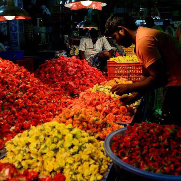 An Indian vendor sorts flowers at a local flower market for the forthcoming Valentine's Day celebrations in Chennai