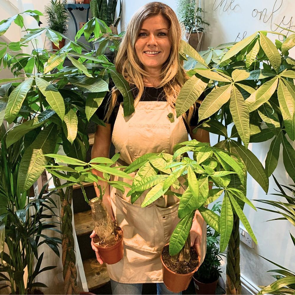 Money Trees woman posing with Money tree in an indoor garden setting