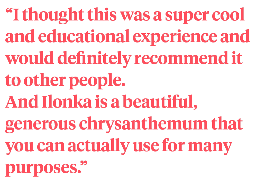 I Challenged Myself and Created a Stack of Ilonkas I Challenged Myself and Created a Stack of Ilonkas