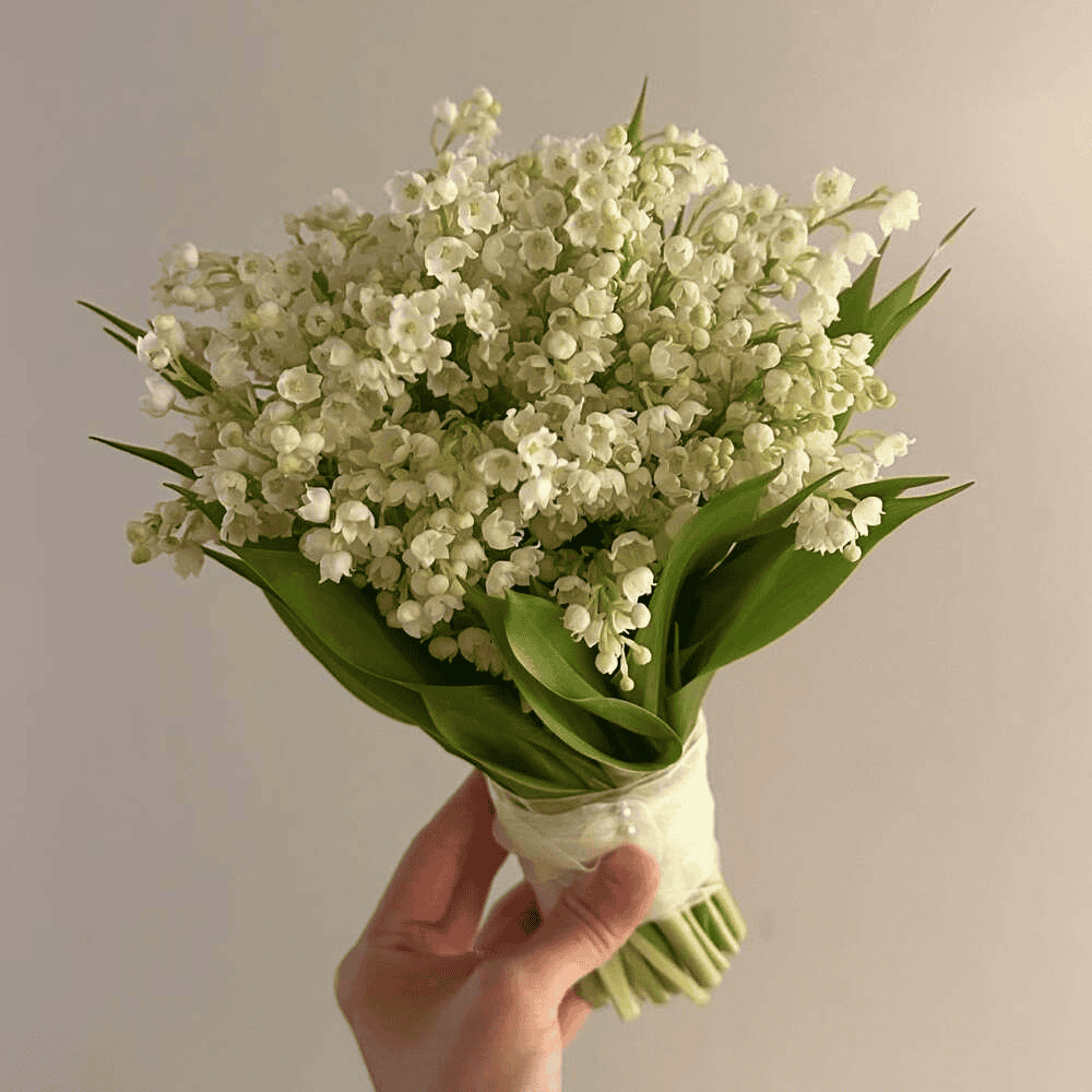 Lily of the Valley Bridal Bouquet Lily of the Valley Bridal Bouquet