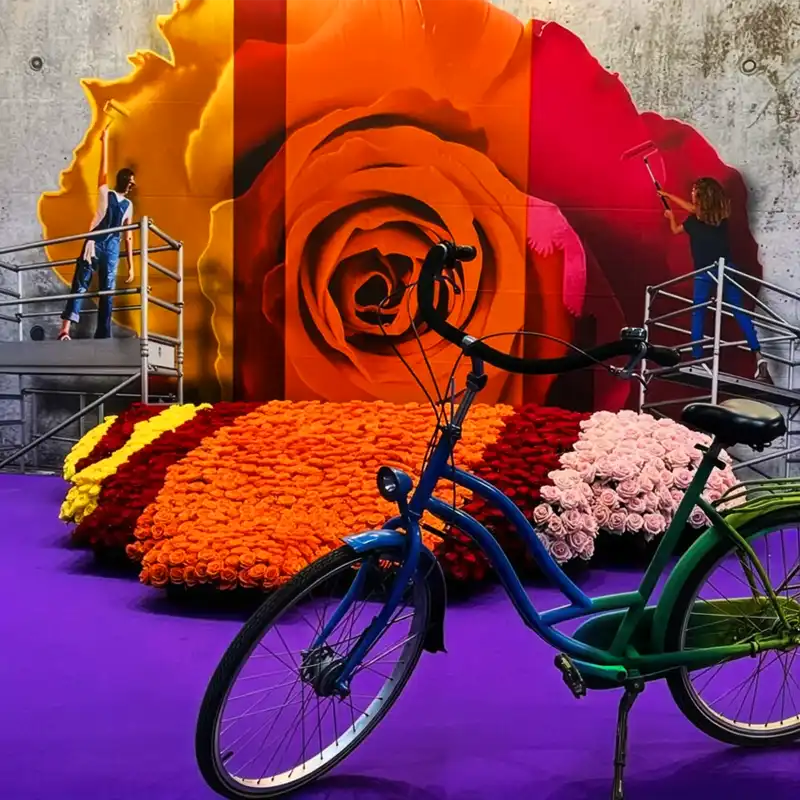 De Ruiter IFTF 2025 preview square feature De Ruiter IFTF 2025 preview square feature