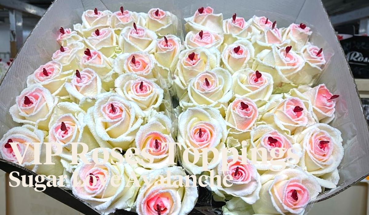 Peter van Delft weekly Menu Valentine - VIP Roses Toppings Sugar Love Avalanche